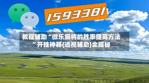 教程辅助“微乐麻将的胜率提高方法”开挂神器{透视辅助}全揭秘-第2张图片