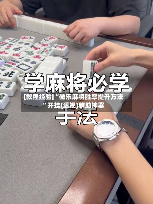 [教程经验]“微乐麻将胜率提升方法”开挂(透视)辅助神器-第2张图片