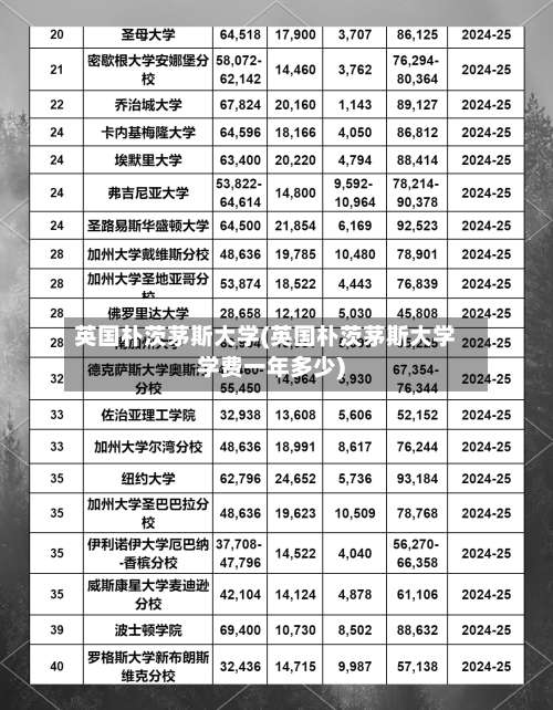 英国朴茨茅斯大学(英国朴茨茅斯大学学费一年多少)-第2张图片