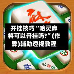开挂技巧“哈灵麻将可以开挂吗?”(作弊)辅助透视教程-第3张图片