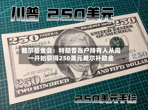 戴尔基金会:特朗普账户持有人从周一开始获得250美元戴尔补助金-第2张图片