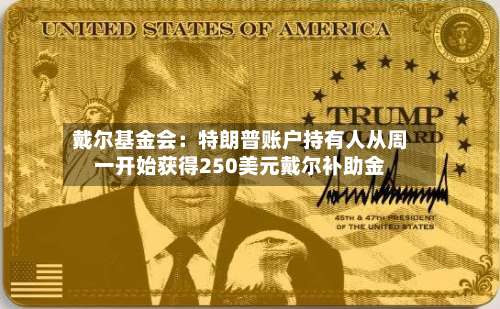 戴尔基金会:特朗普账户持有人从周一开始获得250美元戴尔补助金-第1张图片