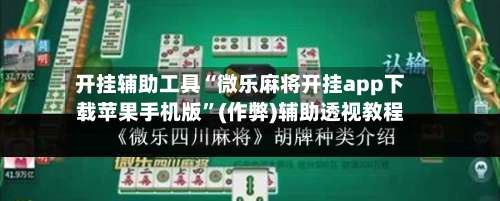 开挂辅助工具“微乐麻将开挂app下载苹果手机版”(作弊)辅助透视教程-第3张图片