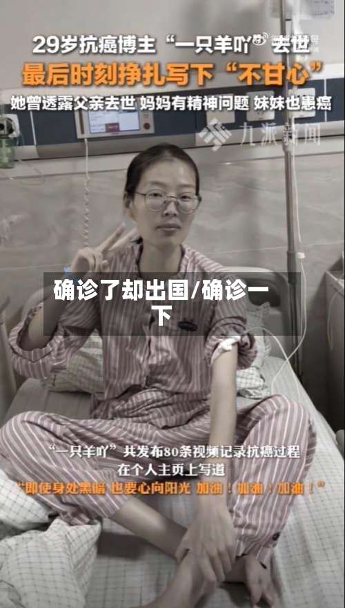 确诊了却出国/确诊一下-第2张图片