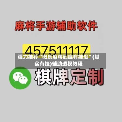 强力推荐“微乐麻将到底有挂没”(其实有挂)辅助透视教程