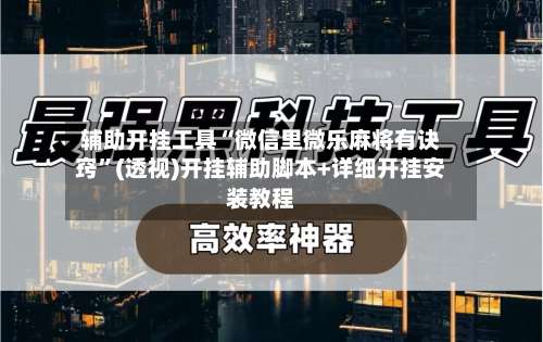 辅助开挂工具“微信里微乐麻将有诀窍”(透视)开挂辅助脚本+详细开挂安装教程-第2张图片
