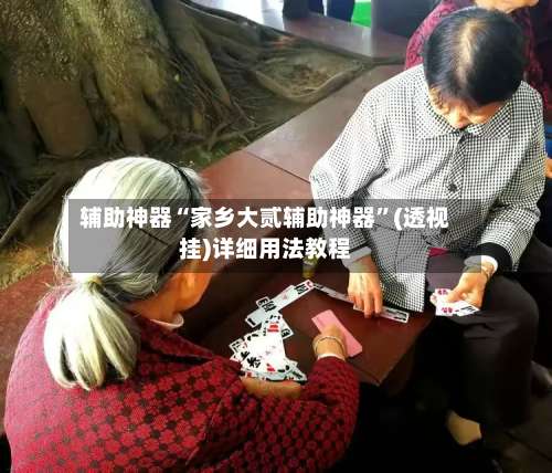辅助神器“家乡大贰辅助神器”(透视挂)详细用法教程-第2张图片