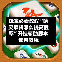 玩家必看教程“哈灵麻将怎么提高胜率”开挂辅助脚本使用教程-第2张图片