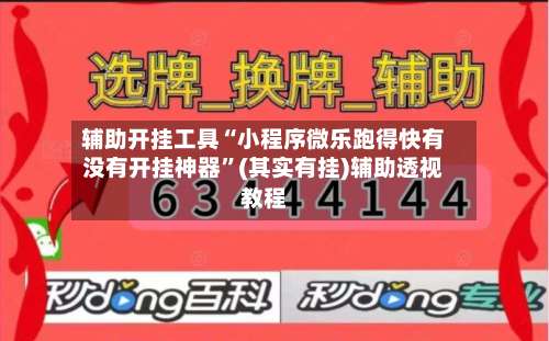 辅助开挂工具“小程序微乐跑得快有没有开挂神器”(其实有挂)辅助透视教程-第2张图片
