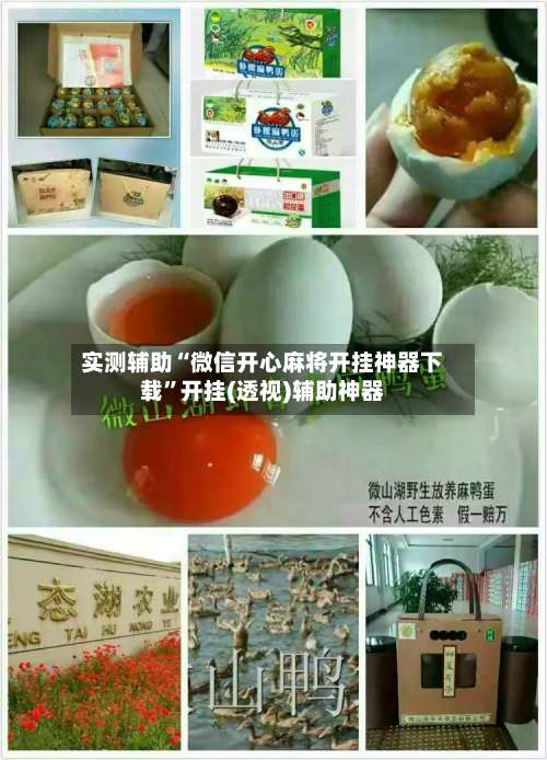 实测辅助“微信开心麻将开挂神器下载”开挂(透视)辅助神器